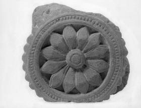 Lotosrosette