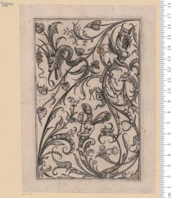 3 Blatt Hochfüllungen mit grotteskem Rankenwerk, bez. mit Doppelkreuz u. J. B[arrà]. Wahrscheinlich aus der Folge: De grotesco perutilis ... Liber, 1623.