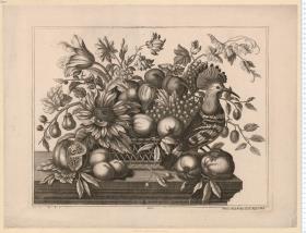 Blumen- und Fruchtkorb mit Wiedehopf bzw. Papagei. Iohann Fried: Probst, excud. August. Vind. Verl.-Nr. (Regal Fol.) 2.
