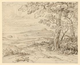 Blick auf Ischia und den Golf von Baiae, vorn ein Baum