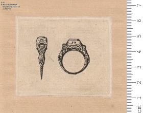 (2) Ringe in Seiten- und Vorderansicht