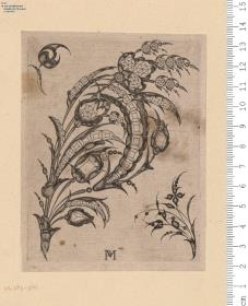 5 Blatt einer Folge mit Schmucksträußen aus Schotenwerk