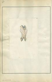 Damenweste von Bernard et C.ie, Modell Mandarin (Gilet)