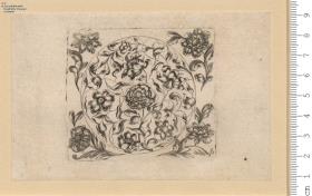(1) Newes Blumen Büchlein Ioh. Vlr. Stapf Exc.: in Aug. (5 Blatt)