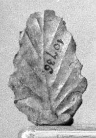 Blech in Form eines Blattes (ähnlich Misc. 10732)