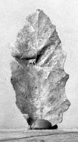 Blech in Form eines Blattes (ähnlich Misc. 10732)