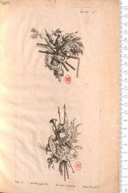 Suitte de Trophés d'après le Chevalier de la Touche. Gravé par Paty. Cevend chés François. Chereau ...
