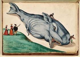Deutsches Trachtenbuch: Gestrandeter Walfisch