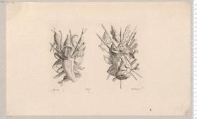 4 Blatt Trophäen. EE (zsgz.) del. I: G: Hertel exc: Verl.-Nr. 365, Nr. 1-4.