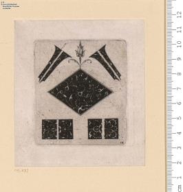 (2) 2 Blatt einer Folge: verschiedene Zierflächen mit Rankenornament