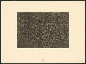Japanisches Lederpapier (Gikakushi 擬革紙)