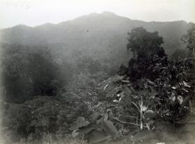 "Koromira."