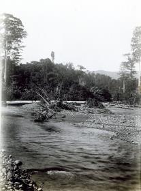 "Fluß in Koromira."