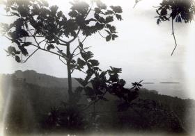 "Blick auf die Arava-Bucht."