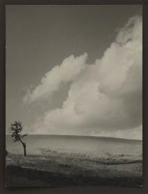 Landschaft mit Baum und Horizont