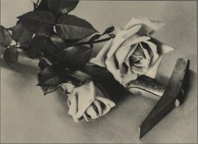 Stillleben mit Hammer und Rose