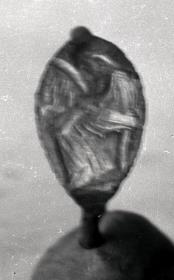 Fingerring. Auf der Abplattung eine Frau, die auf einer Triangel spielt