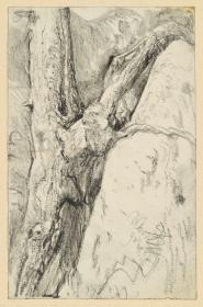 Baumstamm mit Verzweigung