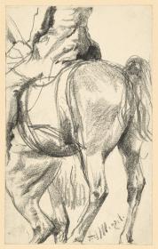 Pferd mit Reiter