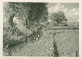 Sommernachmittag
