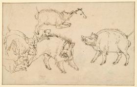 Wildschweine und Hunde