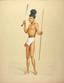 Waemale Krieger