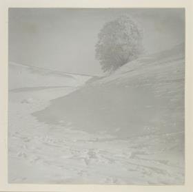 Winterlandschaft