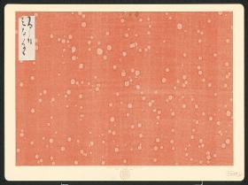 Japanischer Buchumschlag, Wassertropfenpapier (Mitsutamagami)