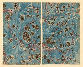 Marmorpapier (zwei zusammengehörige Blätter)