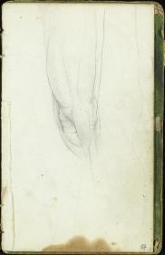 Anatomische Studie