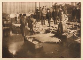 Die Fischauktionshalle (aus dem Album "Hamburg: Land und Leute der Niederelbe")