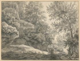 Waldstudie