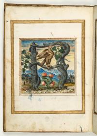 Zierbuchstabe F