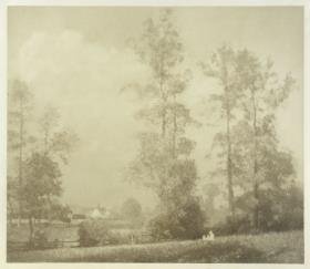 Sommerlandschaft