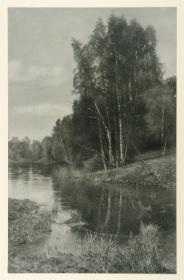 Sommerlandschaft