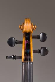 Violine