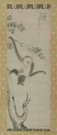 Gibbon mit Jungtier im Geäst