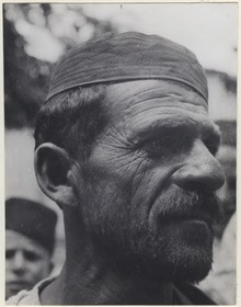 Bauer