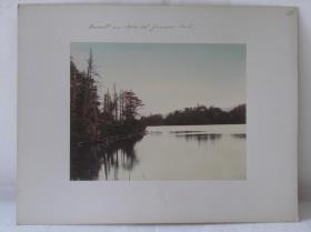 Urwald vom Ufer des Yumoto Sees