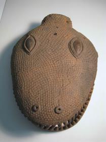 Schlangenkopf