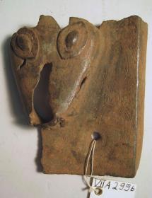 Schlangenkopf (Head of a snake)