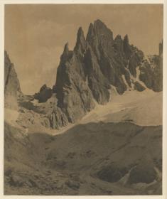 Fünffingerspitze