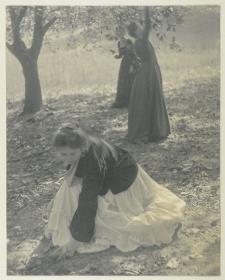 The Orchard