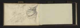 Beinstudie, Ranken- und Blattstudien