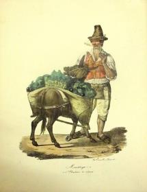 Gemüsehändler "Minestrajo"