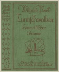 Wilhelm Poeck: Turmschwalben. Humoristischer Roman