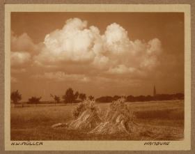 Kornfeld bei Ramelsloh, Lüneburger Heide