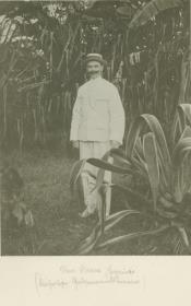 Hans Hamm, Ingenieur, Kaiserlicher Gouvernementsbeamter