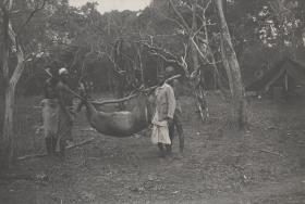 Niumrum Jyrbruh  (weiblicher Wasserbock) = „ndogoro“ am Kiulimira Teich