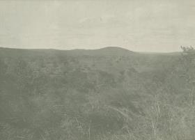 Quarzit-Sandstein-Berge nördlich Usongo. Blick auf meinen Lagerplatz von N.W.